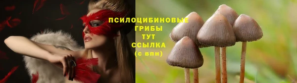 мдма Верхний Тагил
