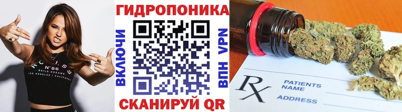Купить закладки  Заречный  Шишки марихуана AK-47 